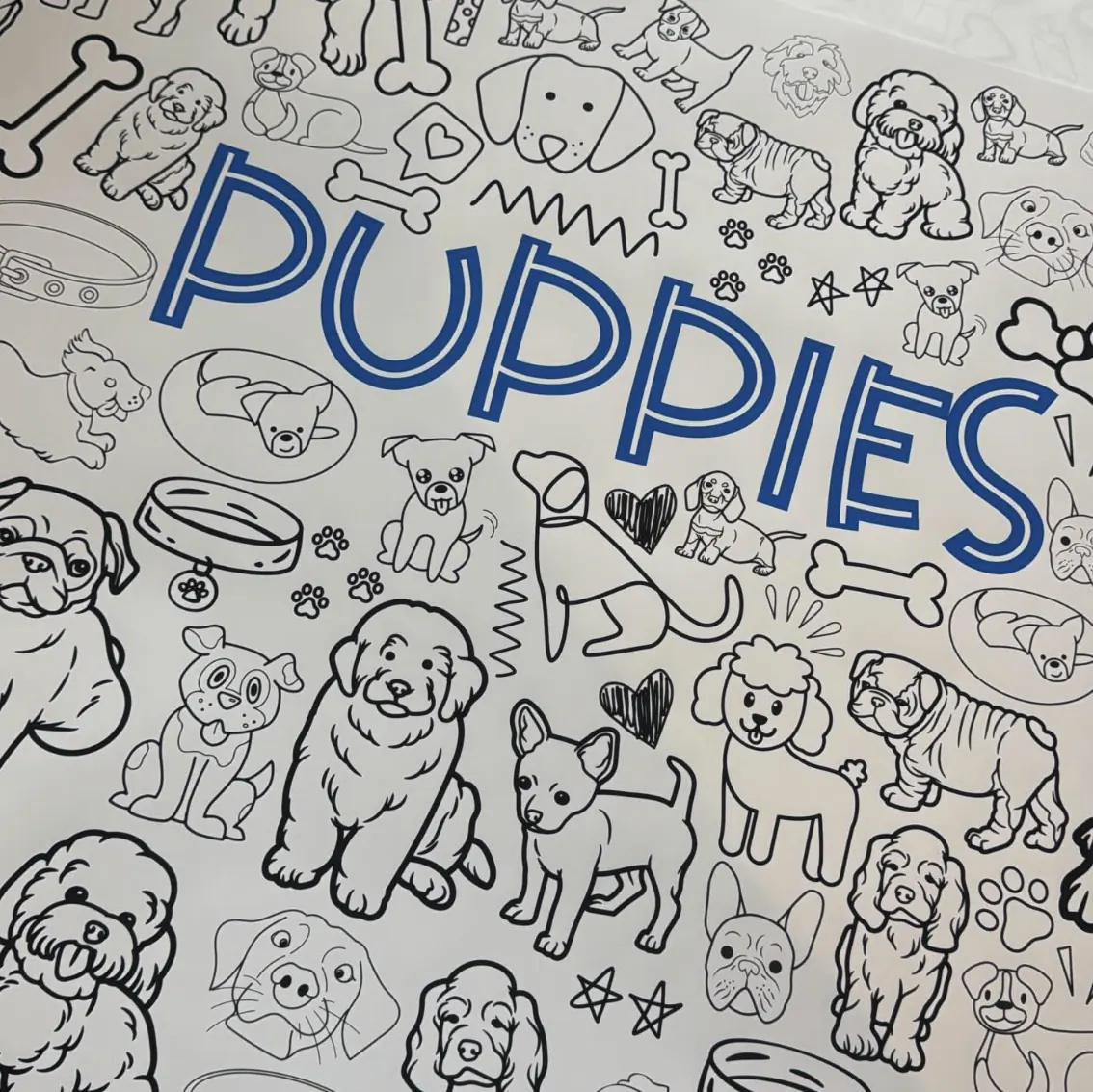 Glitter Option collection preview