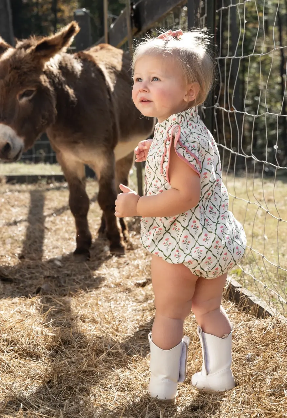 Smockingbird collection preview